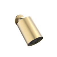 Crosswater Tranquil hoofddouche - 1 stand - geborsteld messing FH341F - thumbnail