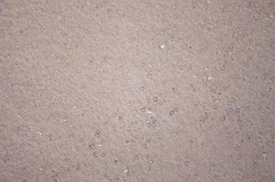 Licosan Forte (Alle diersoorten)