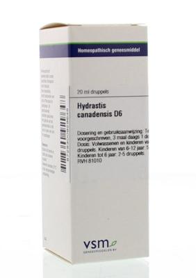 VSM Hydrastis canadensis D6 (20 ml)