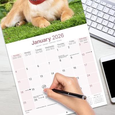 Shiba Inu Kalender 2026 Shiba Inu Kalender 2026