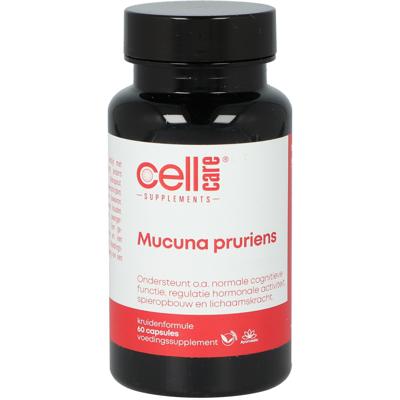Mucuna pruriens