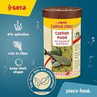 Sera Wels-Chips Nature 250ml - Natuurvoer voor Bodemvissen, Zonder Kunstmatige Additieven - thumbnail