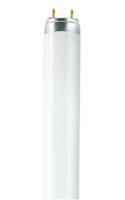 OSRAM HOMELIGHTING TL-lamp Energielabel: G (A - G) G13 36 W Warmwit Buis (Ø x l) 26 mm x 1213.6 mm 1 stuk(s) - thumbnail