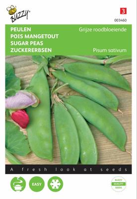 Zaden Peulen Grijze roodbloeiende Buzzy - Buzzy