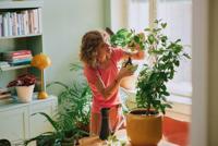 Fiskars 1075314 Tuinschaar 180 mm - thumbnail