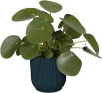 Elho Bloempot Vibes Fold Diepblauw Ø22cm - thumbnail