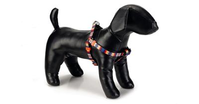 Beeztees Huvos - Hondentuig - Multi - 35-60 cm x 15 mm