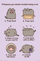 Poster Pusheen Reasons to be a Cat 61x91,5cm - thumbnail