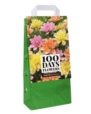 Tas Dahlia waterlily mix JUB 5 bloembollen - Jub