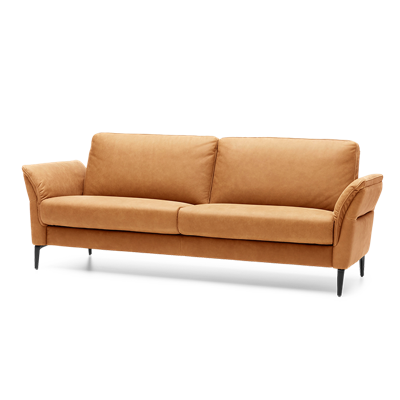 Relaxbank 2,5-Zits T-508 Cognacbruin Leer Relaxbank 2,5-Zits T-508 Cognacbruin Leer