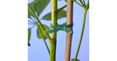 Bindband met rattenstaartsluiting 25m Nature - Nature