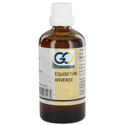 Equisetum arvense bio 100 Milliliter