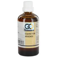 Equisetum arvense bio 100 Milliliter - thumbnail