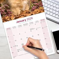 Lhasa Apso Kalender 2026 - thumbnail