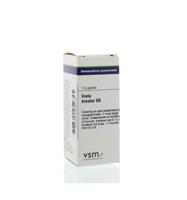 VSM Viola tricolor D6 (10 gr) - thumbnail