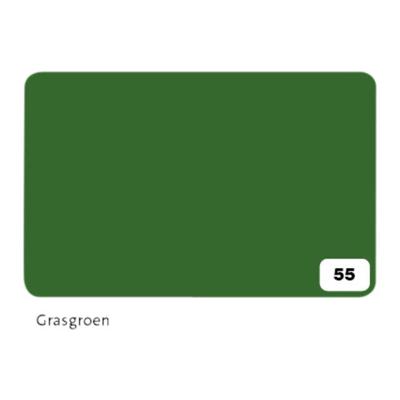 Fotokarton folia 300gr 50x70cm 55 grasgroen
