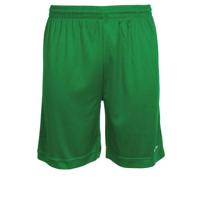 Stanno 420000 Field Short - Green - XL - thumbnail