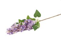 sering spray blauw - thumbnail