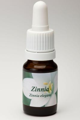 Zinnia 10 Milliliter