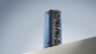 Loewe We. HEAR pro Black Bluetooth speaker