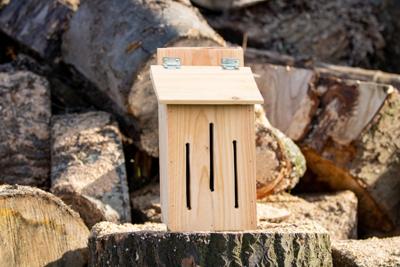 Insectenhotel de Nachtvlinder 20x20x45 cm Boomstijl - Boomstijl