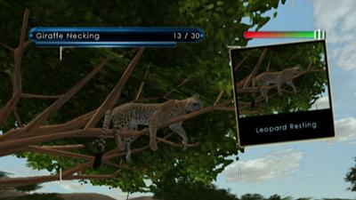 Wild Earth Wild Earth