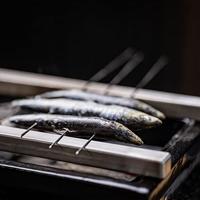 Yakiniku Shichirin vleesnaald 2 mm - set van 20 Stuks - thumbnail