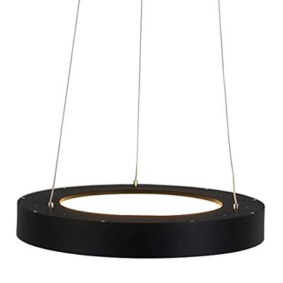 Steinhauer Hanglamp Ringlede Ø 48 cm 2695 zwart