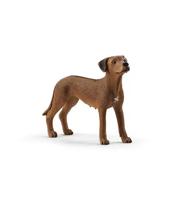 Schleich farm world rhodesian ridgeback 13895 - thumbnail