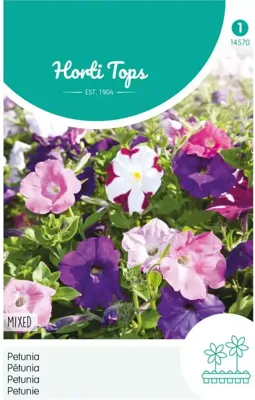 Zaden Petunia laag gemengd Hortitops - Hortitops