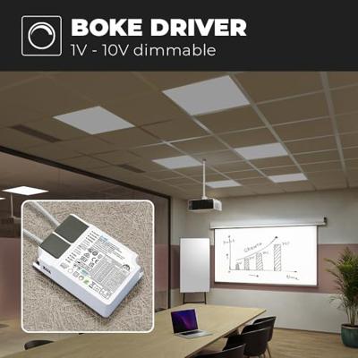 LED Paneel - 60x60 cm - 36 Watt - 4860lm (135lm/W) - 6500K daglicht wit - 1-10V Dimbaar - Flikkervrij - UGR22 - 5 jaar garantie