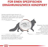ROYAL CANIN Cat Gastrointestinal Moderate Calorie VHN - droog kattenvoer - 400g - thumbnail