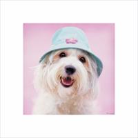 Kunstdruk Rachael Hale - Cindy 40x40cm - thumbnail