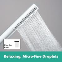 Hansgrohe Pulsify S Handdouche 24125700 - thumbnail