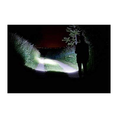 Coleman zaklamp divide+ 75