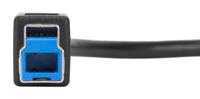 Targus 0.15M USB-C naar USB-A 5 Gbps adapterkabel, zwart (ACC923USX) USB-C naar USB-B Zwart - thumbnail