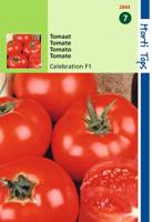 Zaden Tomaten Celebration (vh Luxor) F1 Hortitops - Hortitops - thumbnail