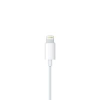 Apple Apple Earpods met Lightning connector - 9540095 - thumbnail