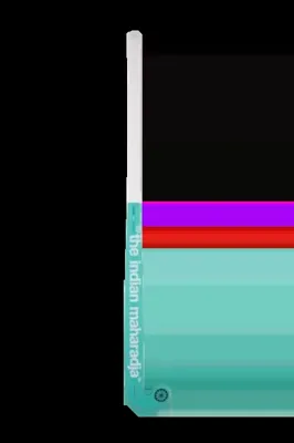 The Indian Maharadja Arctic Mint Indoor Hockeystick