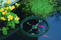 Vijveraccessoires Visvoederring Ubbink - Ubbink - thumbnail