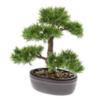 Zijdeplant Bonsai Cedar kunstplant Driesprong Collection - Driesprong collection - thumbnail