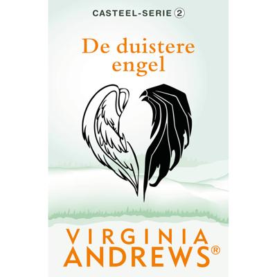 De duistere engel (Paperback)