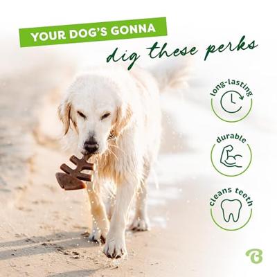 Benebone Fishbone nylon kauwspeelgoed hond (zalmsmaak) S Benebone Fishbone nylon kauwspeelgoed hond (zalmsmaak) S