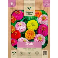 Zinnia confetti mengsel 50st - thumbnail