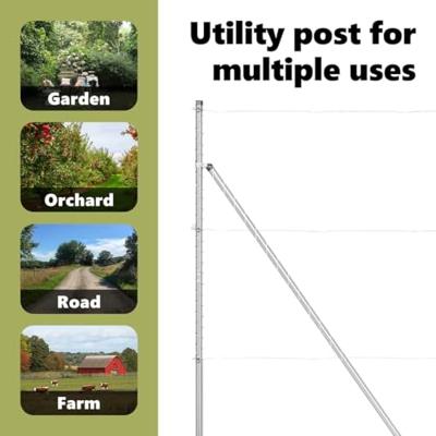 VidaXL Afrasteringspaal 7 pcs zilver staal