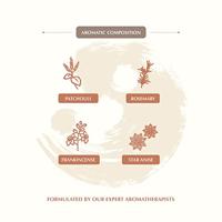 Aromafume Feng Shui Luchtverfrisser Spray Aarde - 100ml - thumbnail