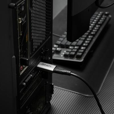 Lindy 41095 tussenstuk voor kabels DisplayPort HDMI Type A Grijs Lindy 41095 tussenstuk voor kabels DisplayPort HDMI Type A Grijs