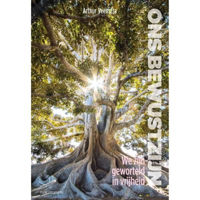 Het primaire waarom - Arthur Veenstra - Paperback (9789492538970)