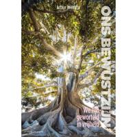 Het primaire waarom - Arthur Veenstra - Paperback (9789492538970) - thumbnail