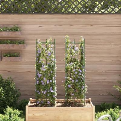 VidaXL Tomatenkooi 2 st 116 cm staal en polypropeen VidaXL Tomatenkooi 2 st 116 cm staal en polypropeen